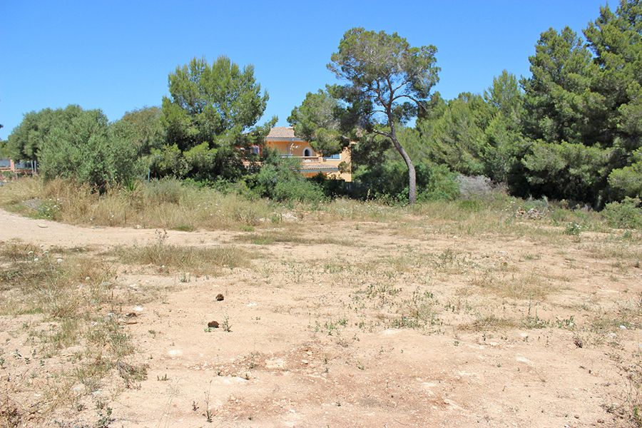 Large Plot of Land in Nova Santa Ponsa - No Project Planning / Building Permit